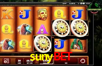 Descubra o Programa VIP da sunybet: Vantagens Exclusivas para Jogadores